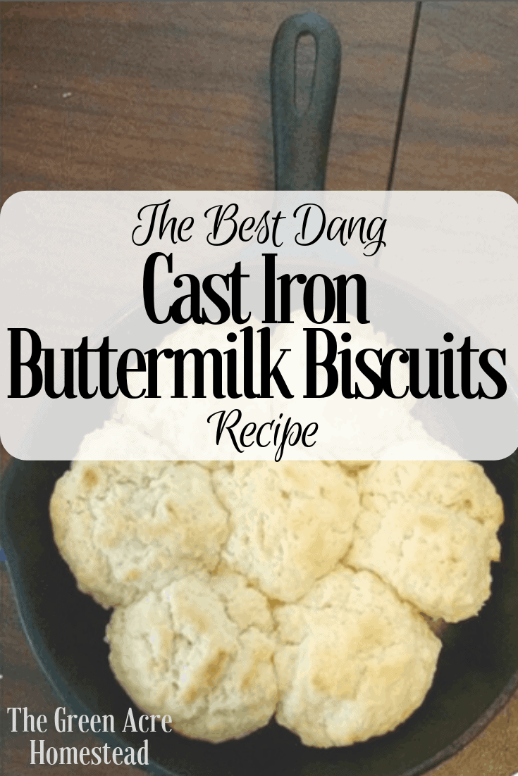 The Best Dang Cast Iron Buttermilk Biscuits Recipe