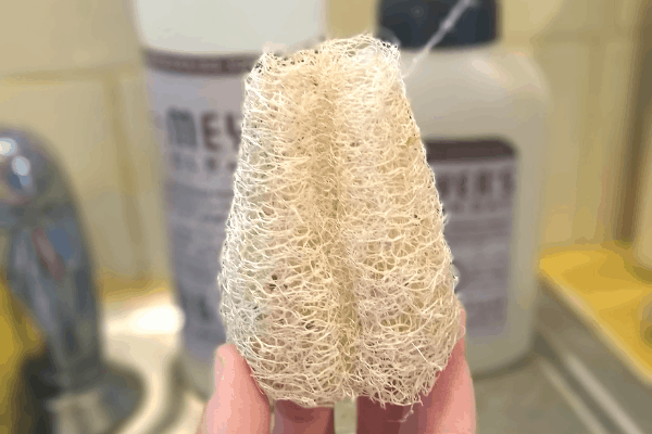 Luffa Sponge Uses after Growing and Harvesting Your Gourds