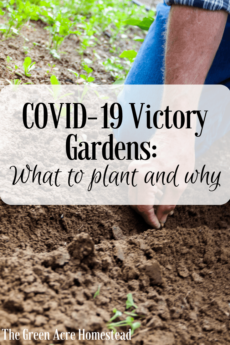 Victory Gardens after COVID-19: What to plant and why